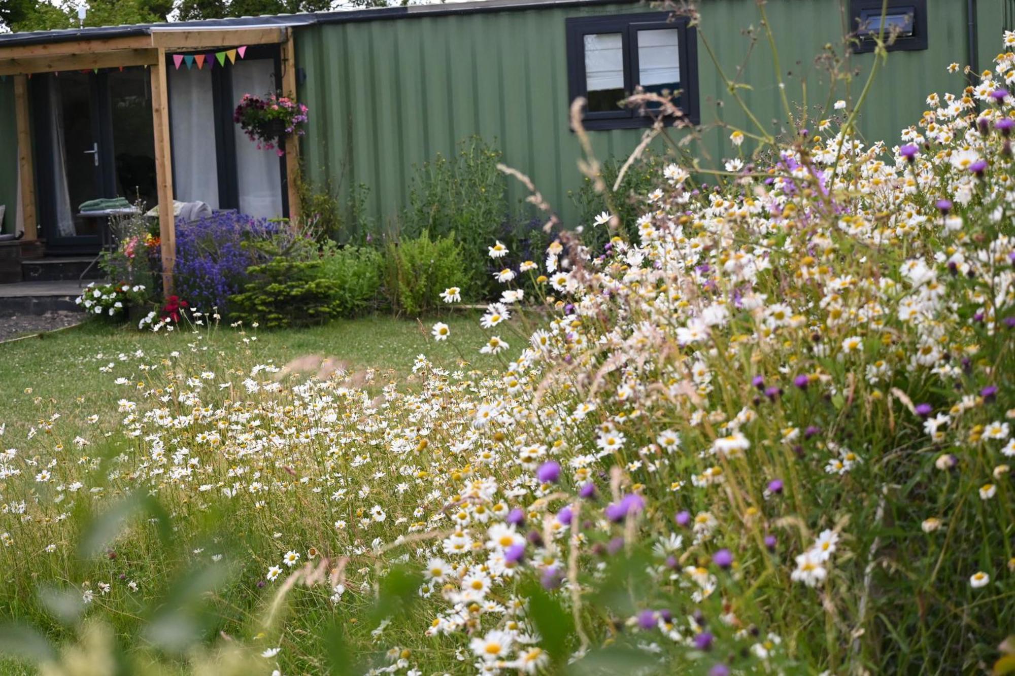 Sweet Pea Cabin Badsey Eksteriør bilde