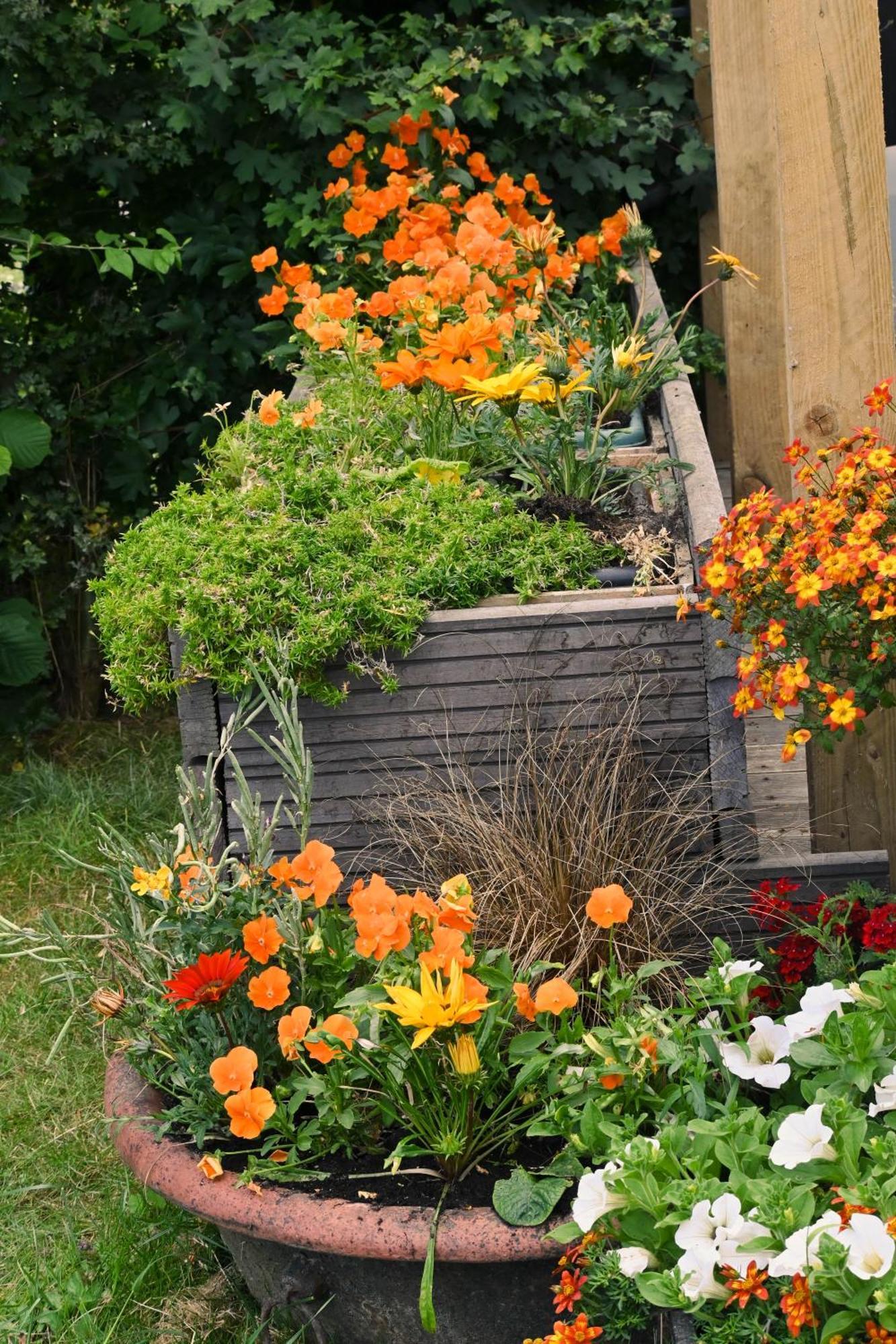 Sweet Pea Cabin Badsey Eksteriør bilde